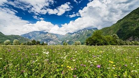 Valtellina 2020