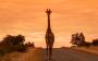 Sudafrica cartorange tour operator