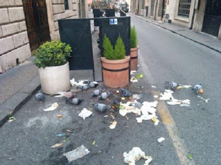 Monnezza Roma